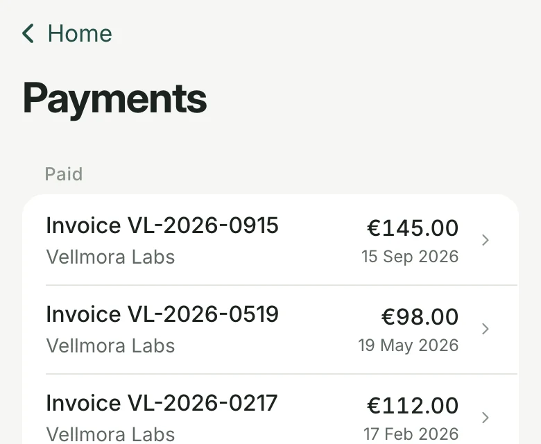 Payments: invoices from Vellmora Labs with dates and amounts.